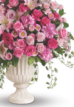 Supplies Listing Category Moreton’s Flowerland