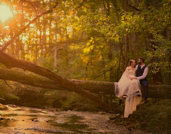 Content Creation Listing Category Zimmerman Photography
