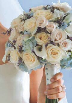 Supplies Listing Category Victor Mathis Florist