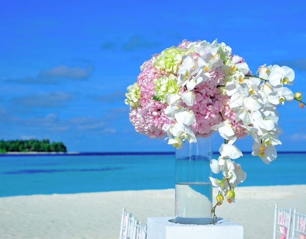 Couple Services Listing Category Beck Travel, LLC