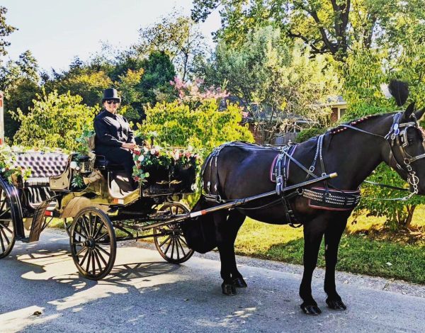 Transportation Listing Category TC Carriage Co. LLC