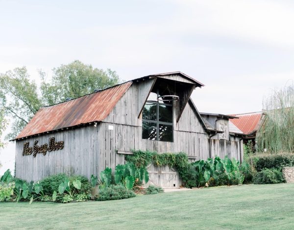 Venues Listing Category The Gray Dove