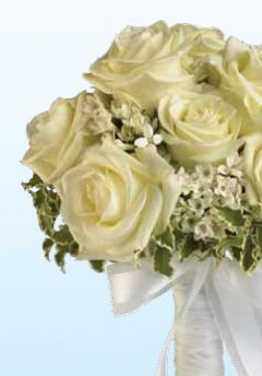 Supplies Listing Category Nicholasville Florist & Gift Shop