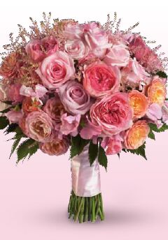 Supplies Listing Category Alford’s Flowers & Gifts