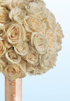 Supplies Listing Category Hedman’s Suburban Florist