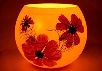 Supplies Listing Category Bee Natural, Inc.