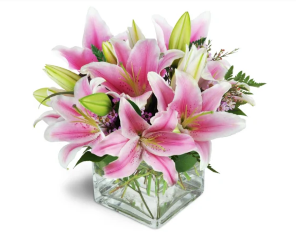 Supplies Listing Category Pat’s Florist & Gifts